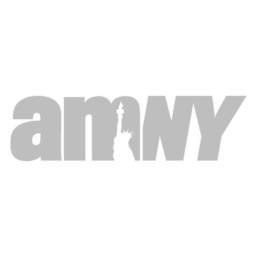 Gray AMNY logo