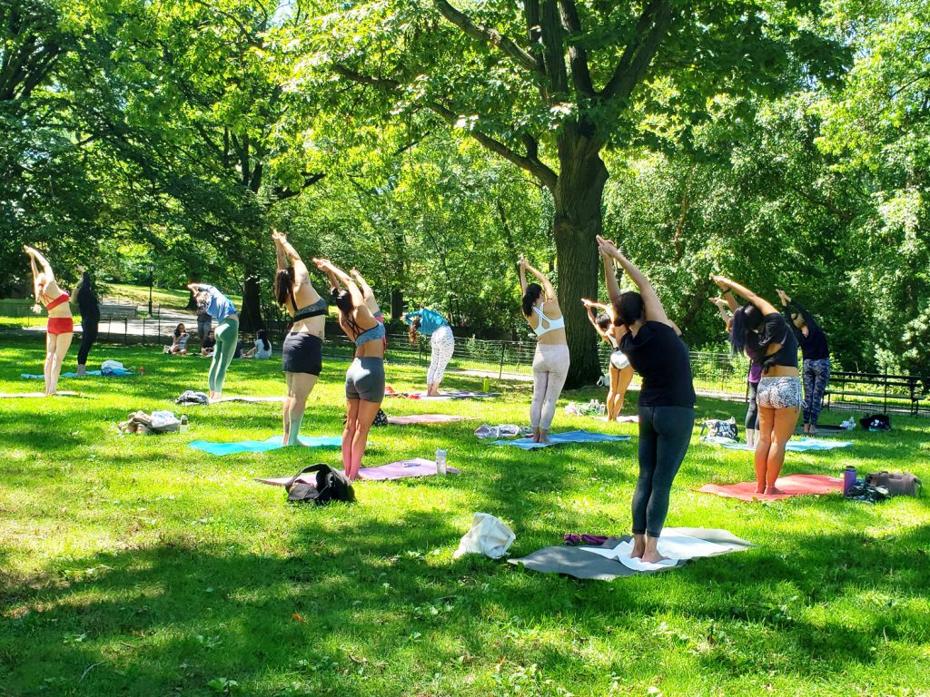 Group of people practicing yoga outdoors in a sunny, green park, all stretching with arms overhead in a standing pose.